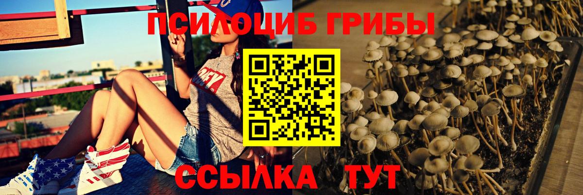 Галлюциногенные грибы мицелий  Вход с VPN  Железноводск  Псилоцибиновые грибы GOLDEN TEACHER 