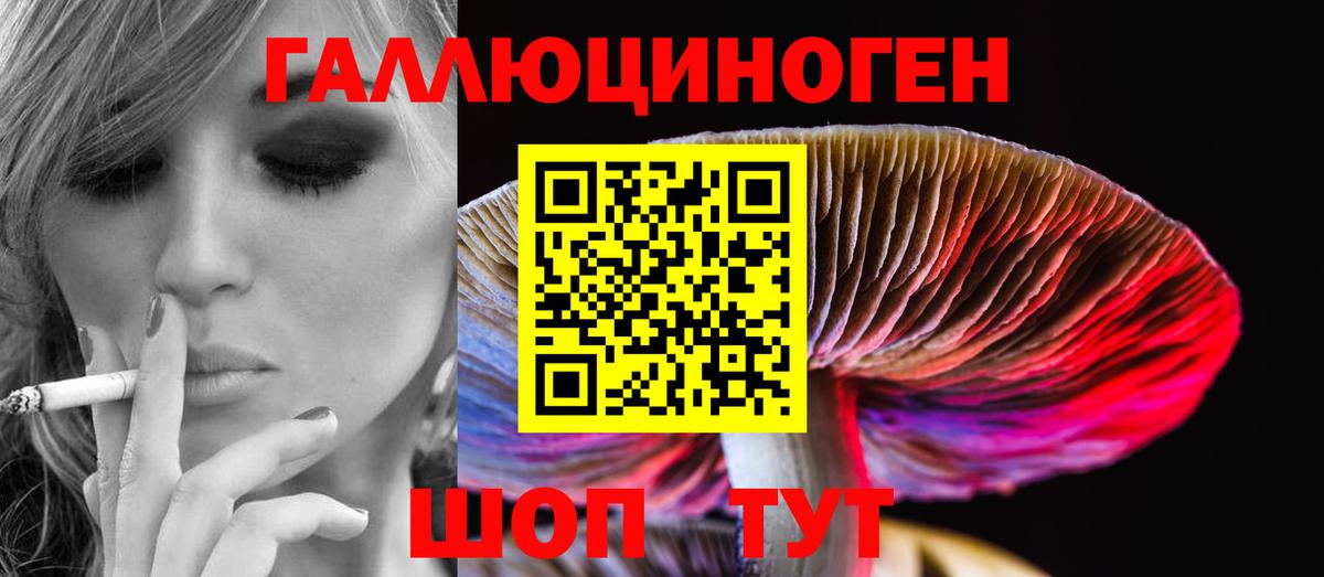 Галлюциногенные грибы MAGIC MUSHROOMS Железноводск